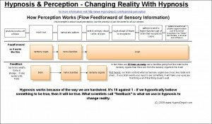 Hypnosis & Perception: Creating Hypnotic Realities